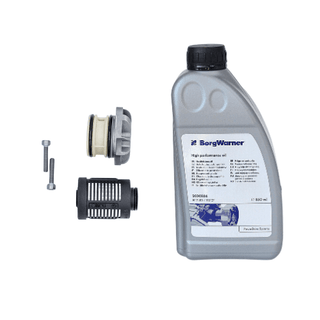 Filter 1111358 and BorgWarner 850ml oil Haldex 4th gen BorgWarner filter and oil kit Filter 111358 and BorgWarner 850ml original oil kit for Haldex 4th gen VW Audi Seat Skoda