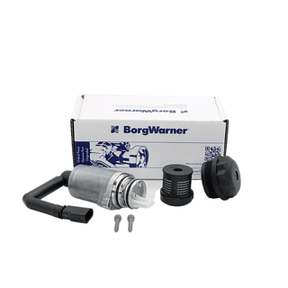 Cargo oil pump 02D525557   & OIL FILTER 02D525558A FOR HALDEX 1ST GEN  for  AUDI, WV, SEAT, SKODA - Haldexparts LTD