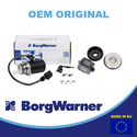 AWD 02W598549A  pump and  02D598574 filter set for Haldex system BorgWarner pump and filter set 02W598549A AWD pump and 02D598574 filter set for VW Transporter and Capmobil Haldex system