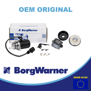 AWD 02W598549A  pump and  02D598574 filter set for Haldex system BorgWarner pump and filter set 02W598549A AWD pump and 02D598574 filter set for VW Transporter and Capmobil Haldex system