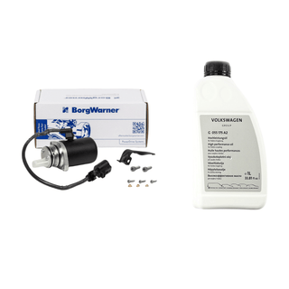 AWD 02W598549A  pump and oil kit for Haldex system BorgWarner pump filter and oil set 02W598549A AWD pump and VW oil set for VW Transporter and Capmobil Haldex system