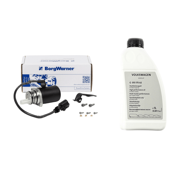AWD 02W598549A  pump and oil kit for Haldex system BorgWarner pump filter and oil set 02W598549A AWD pump and VW oil set for VW Transporter and Capmobil Haldex system