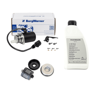 AWD 02W598549A  pump + oil + 02D598574 filter set for Haldex system BorgWarner pump filter and oil set 02W598549A AWD pump , VW oil G055175A2 and 02D598574 filter kit for VW Transporter and Capmobil Haldex