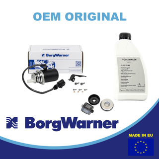 AWD 02W598549A  pump + oil + 02D598574 filter set for Haldex system BorgWarner pump filter and oil set 02W598549A AWD pump , VW oil G055175A2 and 02D598574 filter kit for VW Transporter and Capmobil Haldex