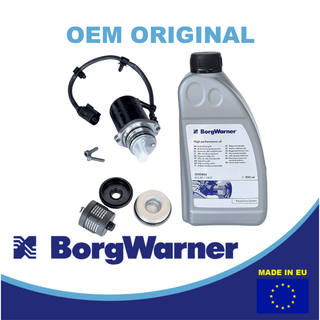 0AV598549A pump,  filter, oil 2nd generation kit for Haldex BorgWarner pump filter and oil set 0AV598549A Haldex pump, filter 02D598574 and high perfoance oil 2nd generation kit for Audi VW Golf Seat Skoda Haldex
