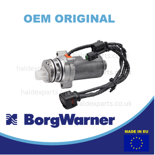 0CQ598549A pump for 5th generation Haldex - VW CRAFTER II BorgWarner pump Haldex Oil pump 5 generation 9P1906271 Porsche