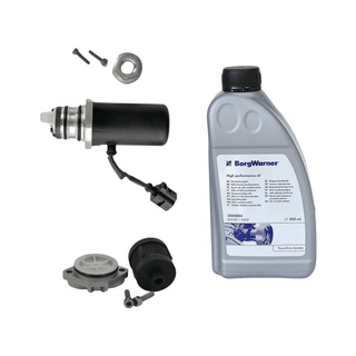 LR003147 LAND ROVER FREELANDER 2 Haldex pump BorgWarner pump LR003147 LAND ROVER FREELANDER 2 2006 - 2009 PUMP Filter and Borgwarner oil service kit for Haldex
